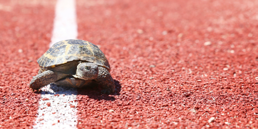 The most unusual places to visit in Chicago when on tour transportation