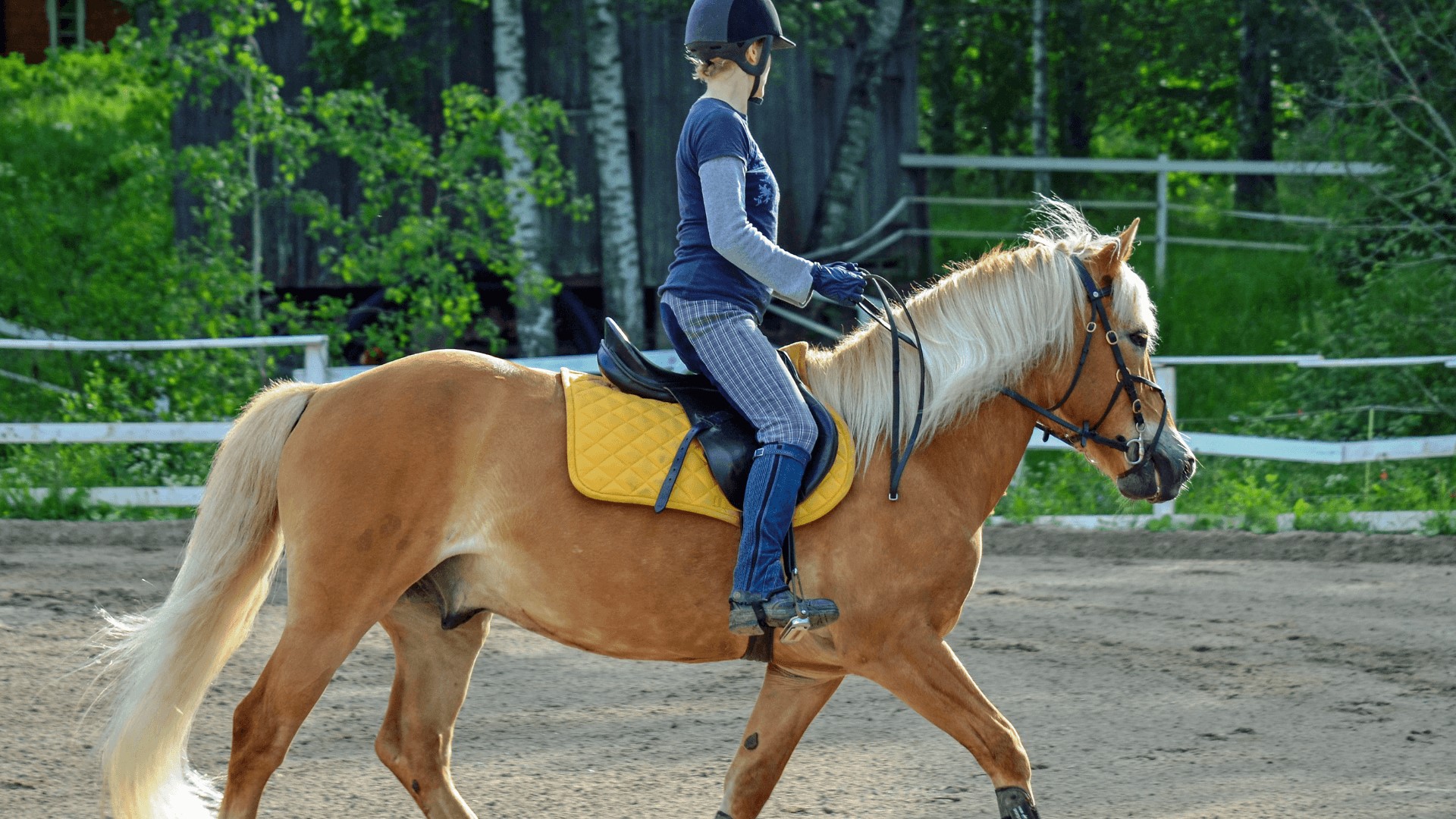a man Horseback Riding at the Riding Center